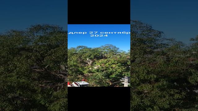 Утро в Адлере 27 сентября 2024 смотреть онлайн