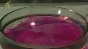 Химия. Взаимодействие щелочных металлов с водой