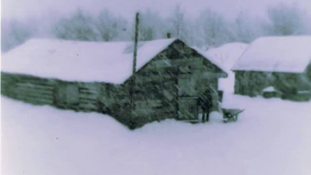 SLEETMUTE смотреть онлайн