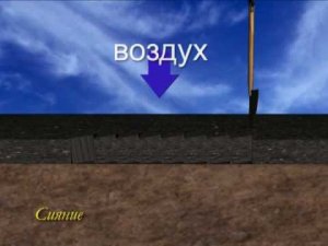 3_Две причины истощения почвы