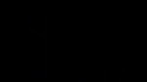 Nike Football : The Last Game Full Animation