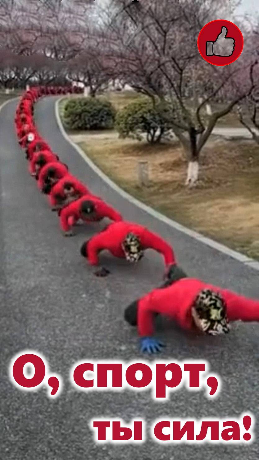О, спорт, ты сила!