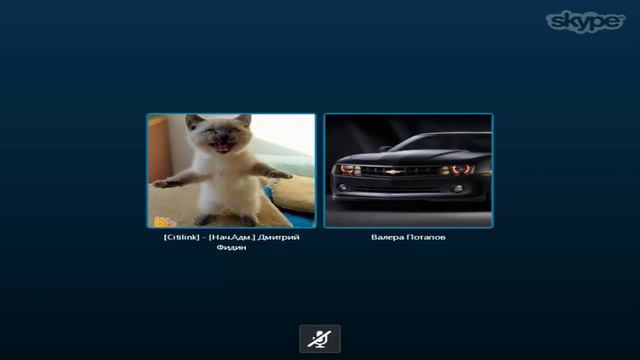 Тролинг в Skype на Призы смотреть онлайн