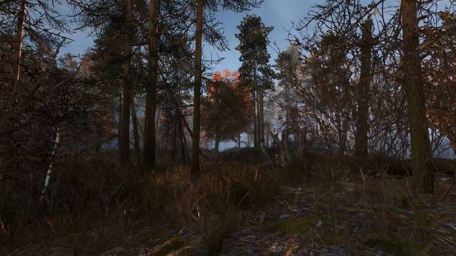 METRO EXODUS Atmosphere - Taiga Forest