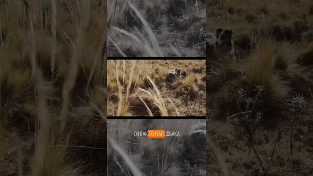 В Чем разница смотреть онлайн