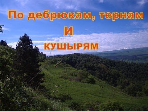 По дебрюкам тернам и кушырям смотреть онлайн