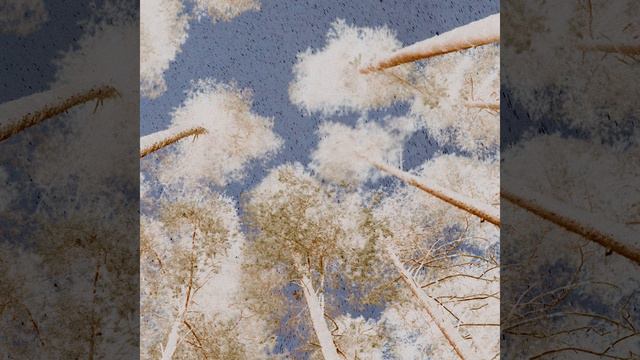 Fall Spring смотреть онлайн