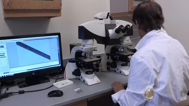 Inside the Crime Lab: A Complete Tour of the Denver Police Crime Laboratory смотреть онлайн