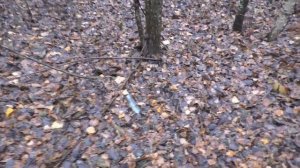 В ЛЕС С СЕМЬЁЙ но не ПО ГРИБЫ! А ПОТОМ В КАФЕ!