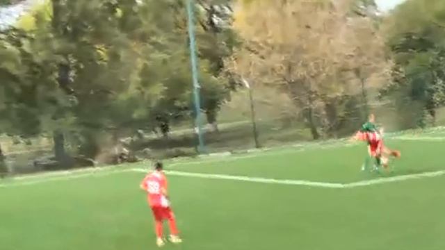 Арбитр Павел Сальников Эпизод в матче Ингулец 2 Реал Фарма 2017 10 16 смотреть онлайн