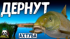 РУССКАЯ РЫБАЛКА 4. ОНИ МОГУТ ДЕРНУТ ОЧЕНЬ НЕОЖИДАННО РР4