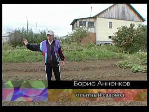 Б.С. Анненков - про уборку картофеля смотреть онлайн