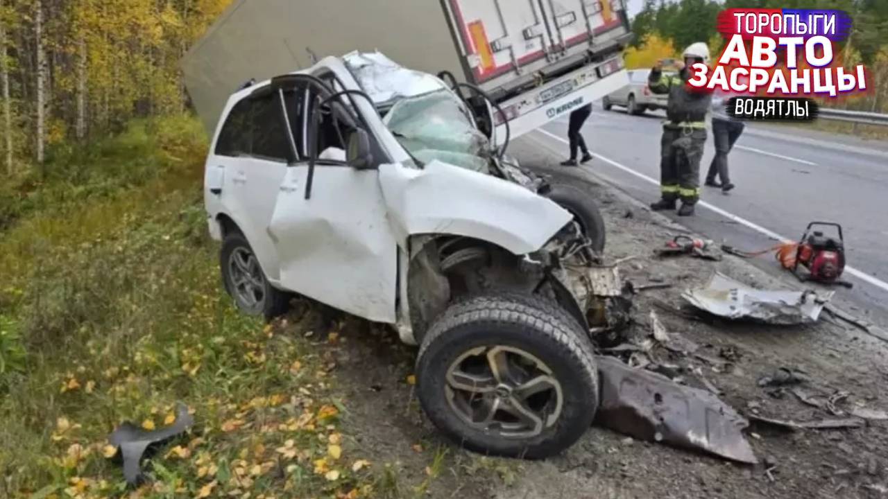 Нет, не видел! Сентябрянутые Торопыги и Водятлы ДТП смотреть онлайн