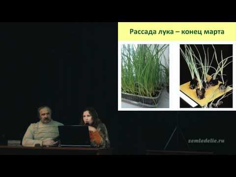 Выращивание рассады смотреть онлайн