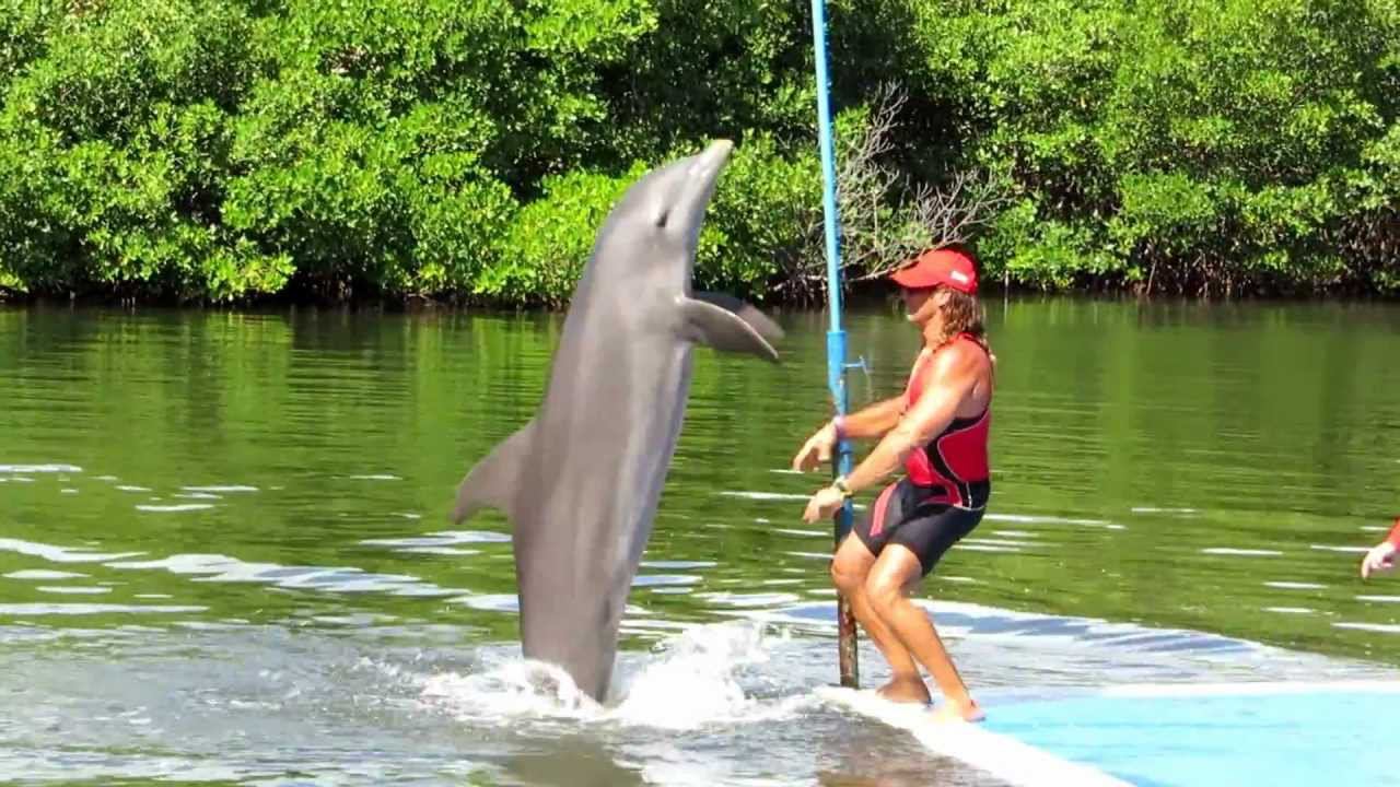 А ты так умеешь? (And You Are So You Know How?)