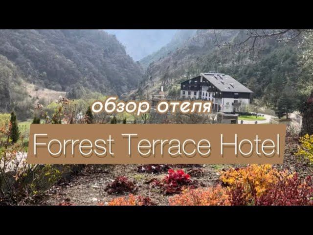 ВСЯ ПРАВДАоб отеле «FORREST TERRACE»