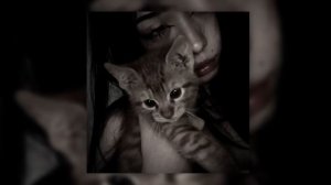 девочка с моих снов теперь со мной❤️🔥❣️ speed up ты дороже чем ролс ройс