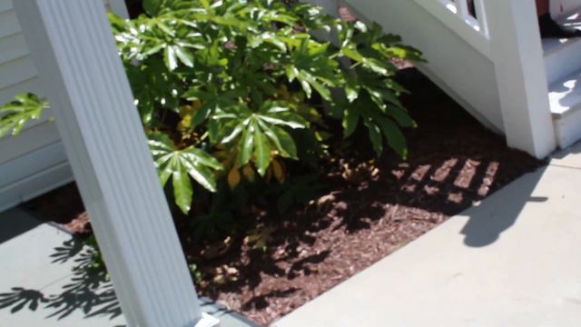 BLACK BIKE WEEK 2013 #BBW13 MYRTLE BEACH SHE GOT LOOSE STR8 G TV AND TATMONEY12 смотреть онлайн