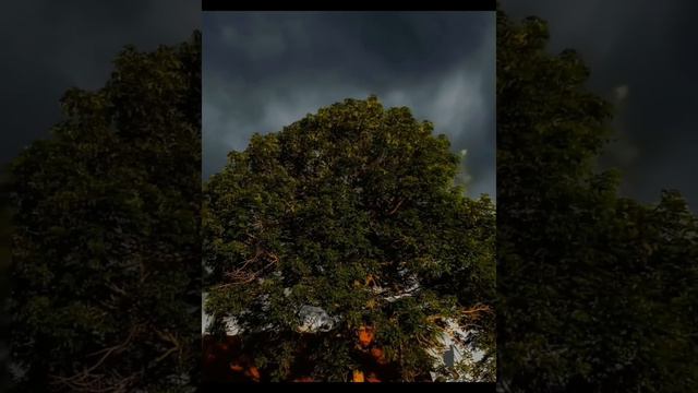 Kako biti srećan.... Evo šta je potrebno... Tako je govorio Momo Kapor. смотреть онлайн