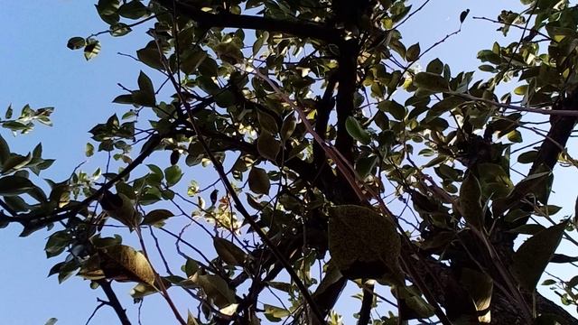 20240927_081614.mp4 смотреть онлайн