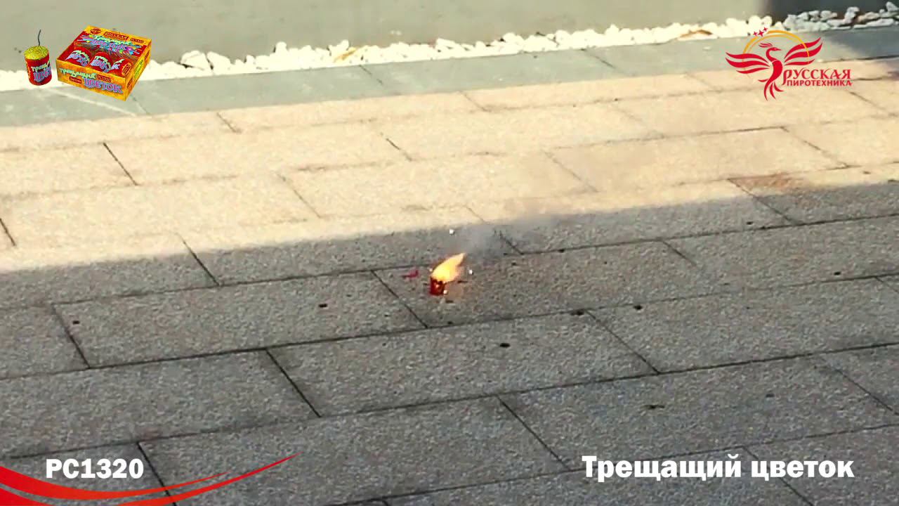РС1320 Петарда "Трещащий цветок" 1/72/3 смотреть онлайн