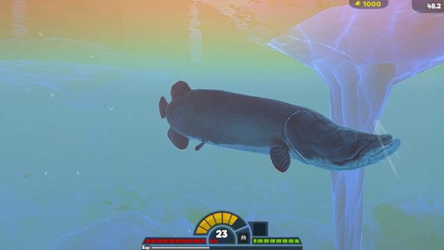 Feed & Grow Fish Arapaima Vs Megalodon смотреть онлайн