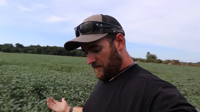 Building BREAK-IN | Window BROKEN | Welcome HOME смотреть онлайн