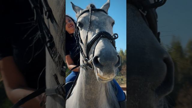 Мое идеальное утро: секрет энергии и позитива на весь день! смотреть онлайн