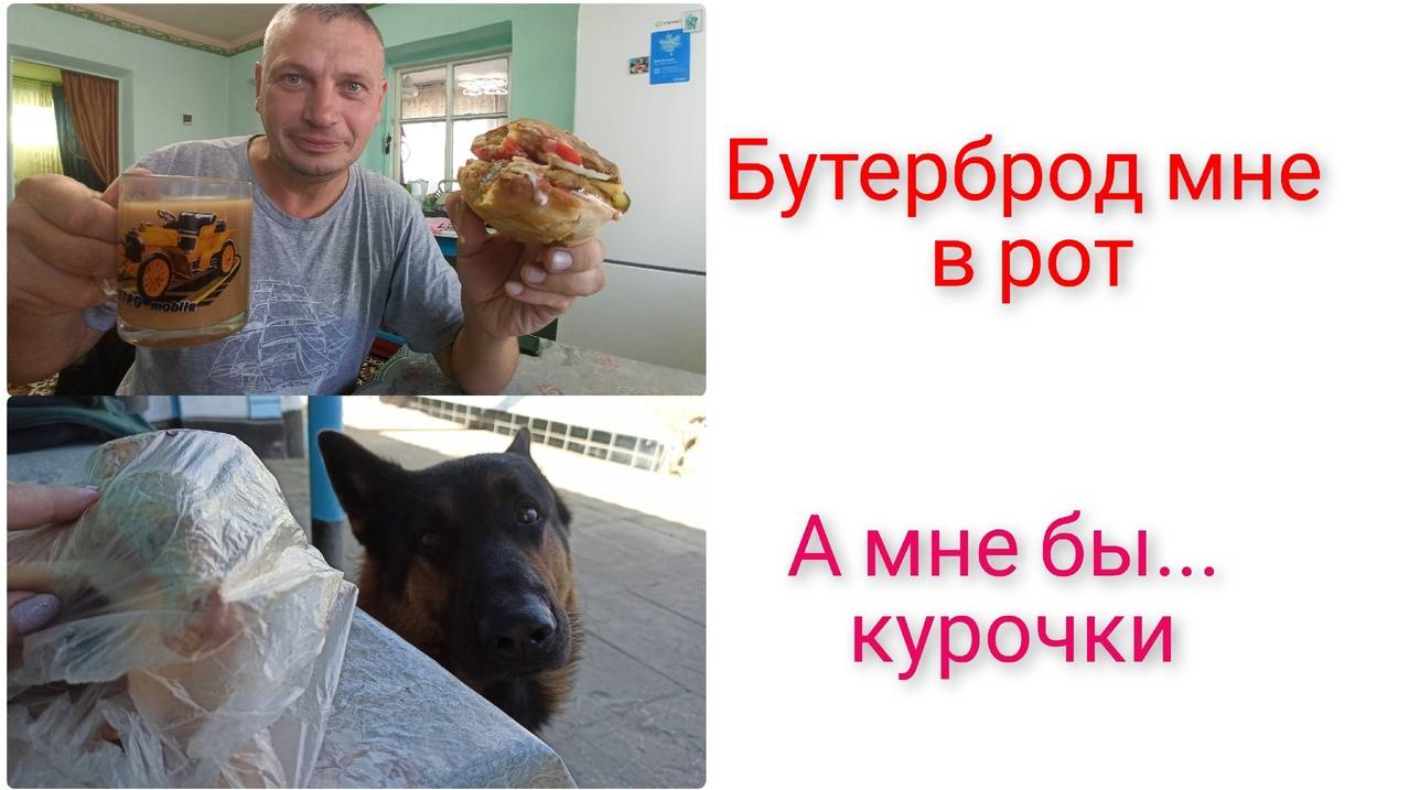 Это вам не гамбургер! Кипиш перед отьездом. Гламурный курятник. смотреть онлайн