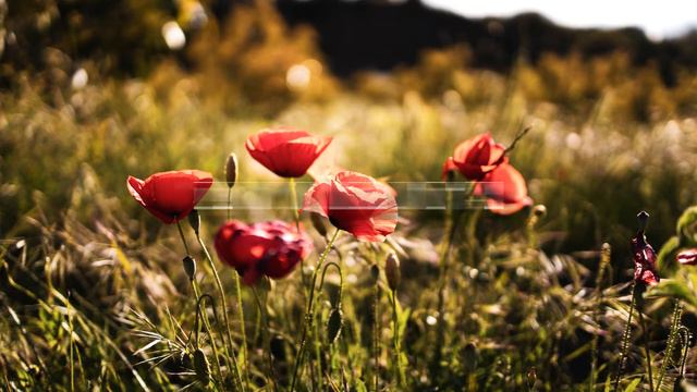 Destinys Child - Lose My Breath (BENNY COOL Remix) смотреть онлайн