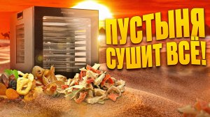 КАК ДЕГИДРАТОР ИЗМЕНИТ ВАШУ КУХНЮ! | ВСЁ ЧТО НУЖНО ЗНАТЬ