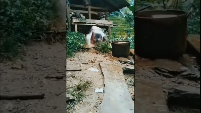 НЕУДАЧИ смотреть онлайн