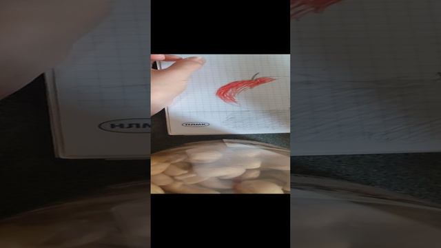 КАК РИСОВАТЬ ЯБЛОКО ФЛОМАСТЕРОМ смотреть онлайн