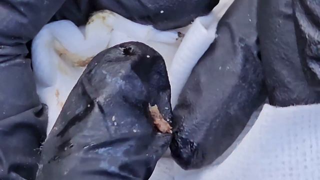 Elijah's Right Foot #1 - Watch Long Video @riseupsociety.net ($10 To Subscribe)