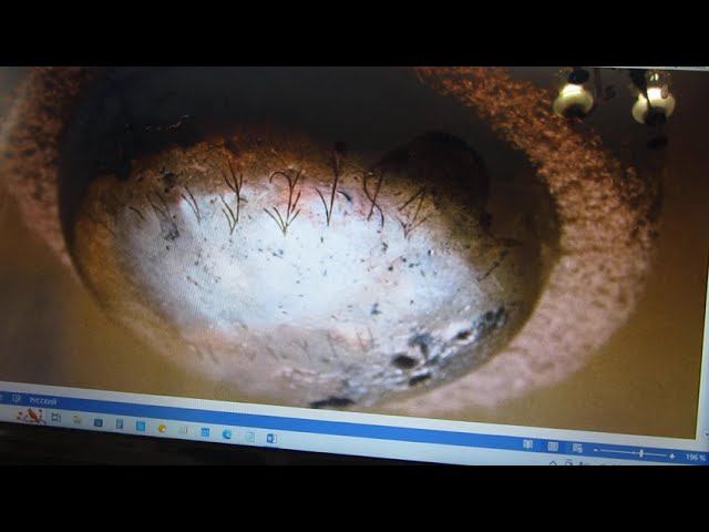 Вариант расшифровки Иссыкского письма.