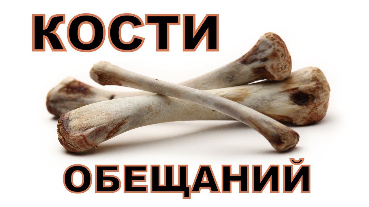 Кости обещаний смотреть онлайн