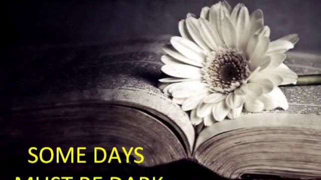 "Rainy Days" Late Night Alumni Lyrics смотреть онлайн