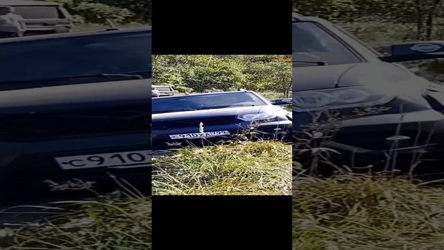 Интересно, но быстро! смотреть онлайн