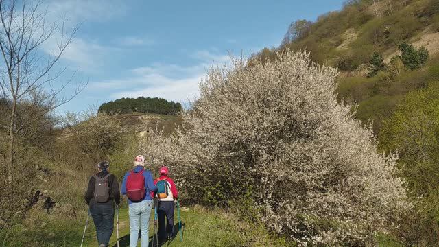 4 Самый красивый маршрут от Аликоновского до Березовского ущелья