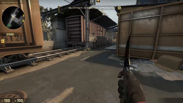 Flip knife | Case hardened - Skin Showcase смотреть онлайн