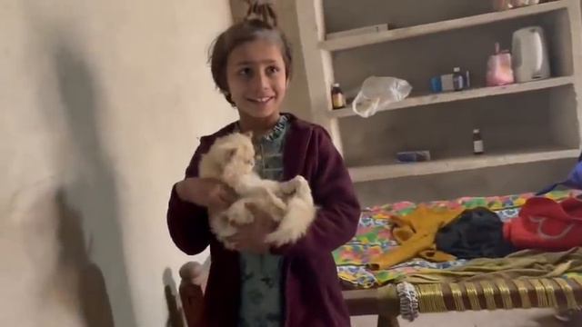 2nd wife ky maiky waly agye | last night in punjab | Sitara yaseen vlogs смотреть онлайн