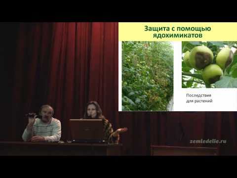 Защита растений от вредителей смотреть онлайн