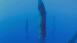 Земля Один потрясающий день.