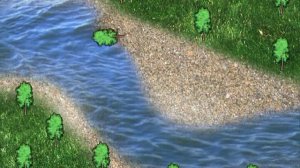 Лоция внутренних водных путей. Берега и наносные образования в русле рек.