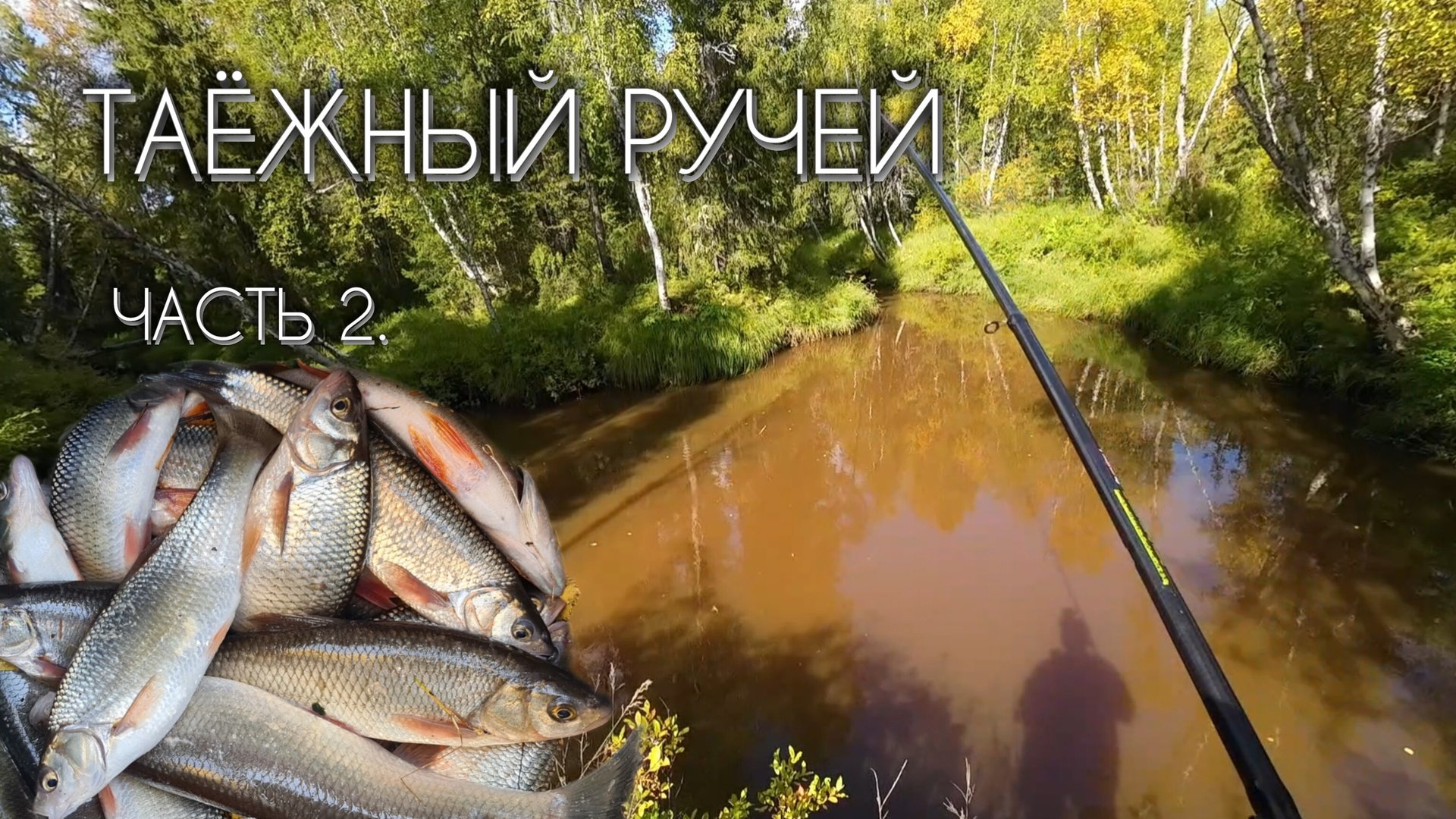 ТАЁЖНЫЙ РУЧЕЙ за ЧЕБАКОМ (МОХТИКОМ) часть 2 #чебак #мохтик #ручей #рыбалка #сибирь #мотобуксировщик смотреть онлайн