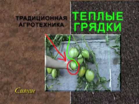 7_Теплые грядки (Осень) смотреть онлайн