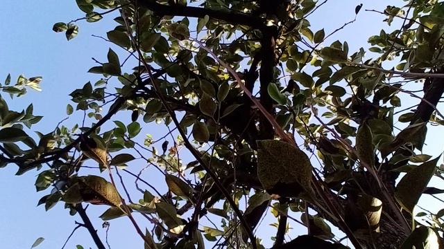 20240927_081150.mp4 смотреть онлайн