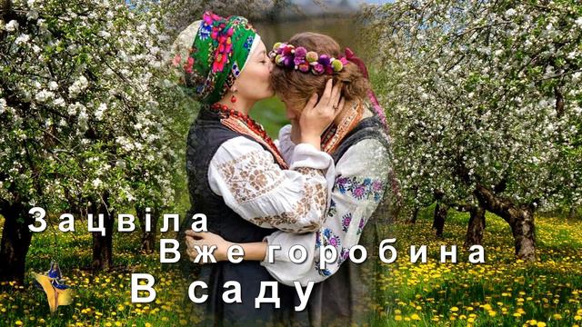 Ласкаво просимо! Збірник кращої Української пісні. смотреть онлайн
