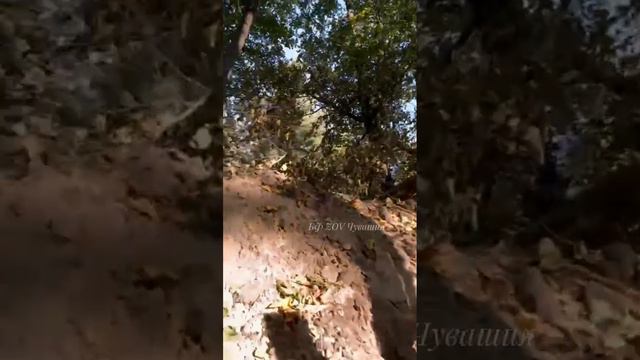 Будни СВО глазами НАШИХ бойцов. смотреть онлайн