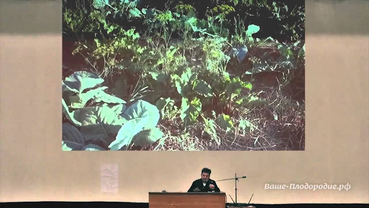 Семинар Олега Телепова «Выращивание картофеля» смотреть онлайн